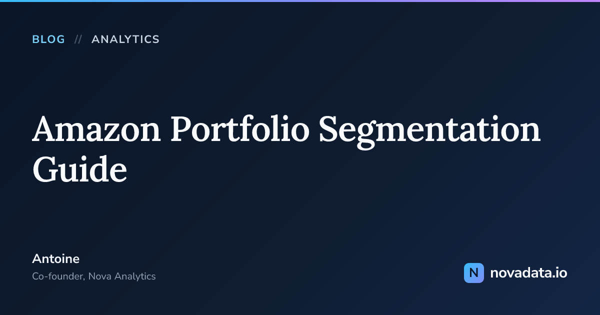 Amazon Portfolio Segmentation Guide